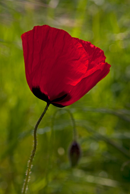Foto: Georg Erben