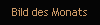 Bild des Monats